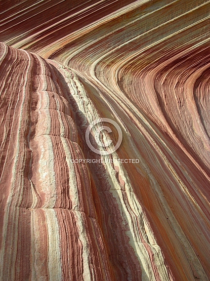The Wave Layer Detail