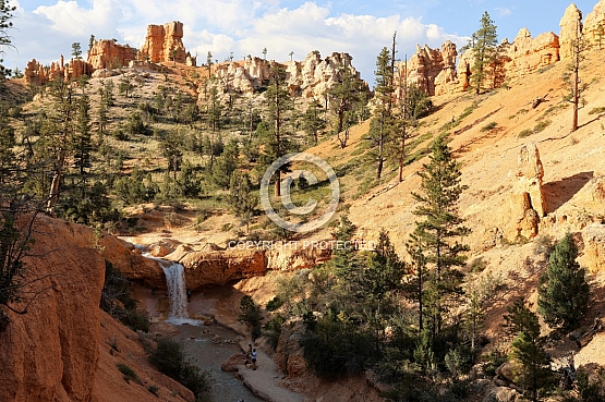 Tropic Ditch Falls
