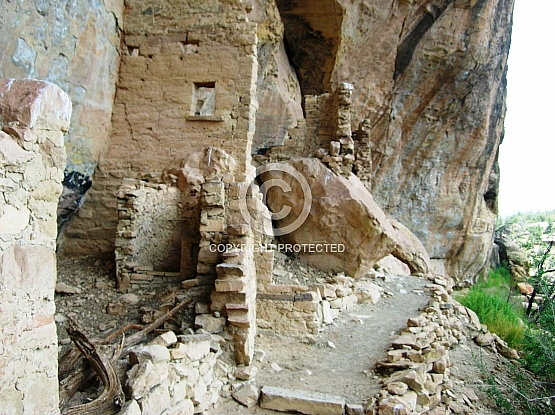 Lion House Perspective