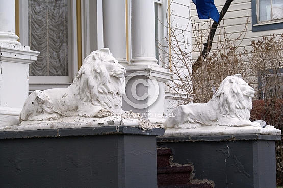 King's Lions