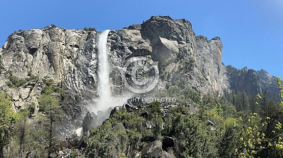 Bridalveil Falls Landscape