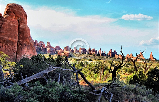Devil's Garden from Pine Tree Arch
