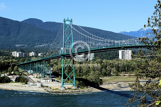 Lions Gate Bridge from Prospect Point, Vancouver, BC
