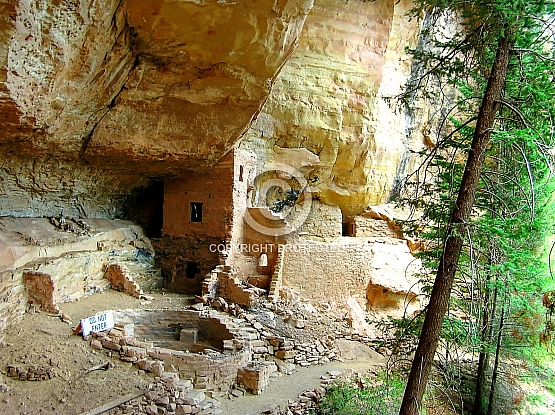 Tree House in Lion Canyon