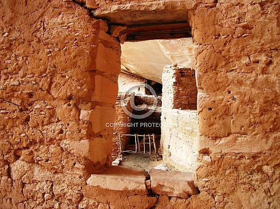 Window into Time