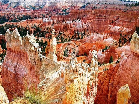 Bryce Ampitheatre from Sunset Point