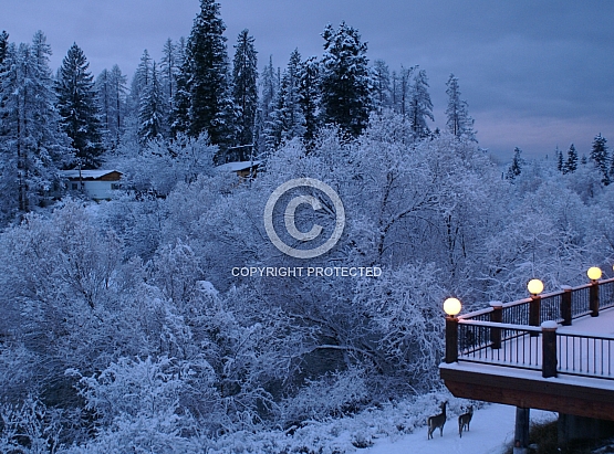 Silent Night