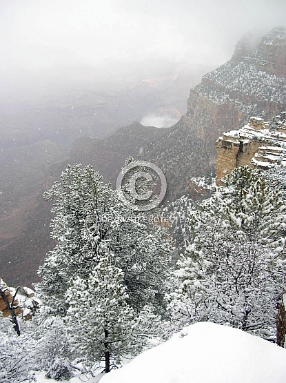 Grand Canyon Squall