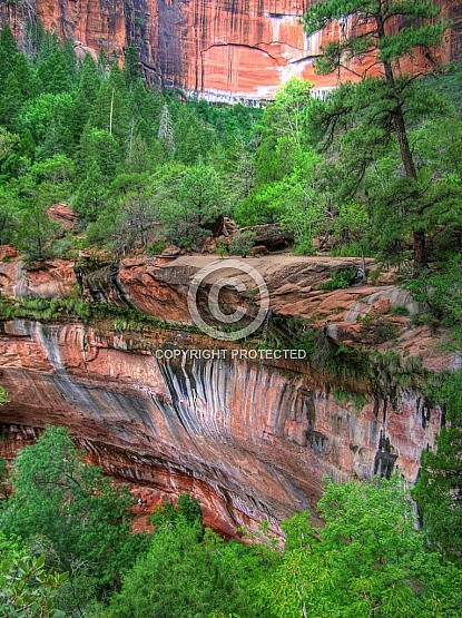 Emerald Pools Overhang at Zion HDR