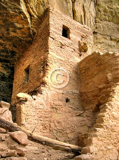 Tower Ruin at Tree House