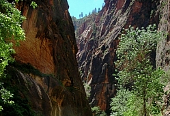 Hiking the Zion Gorge