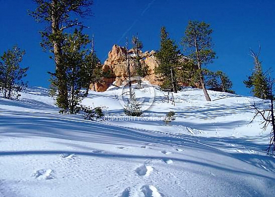 Winter's Touch on Bryce
