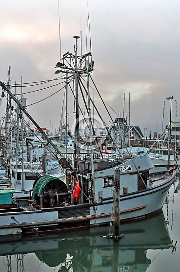 Best of the Wharf