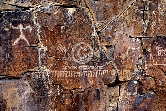 White River Narrows Hunting Panel