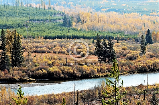 North Fork Meadow