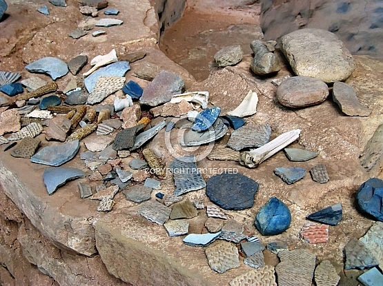 Pottery Shards at Tree House