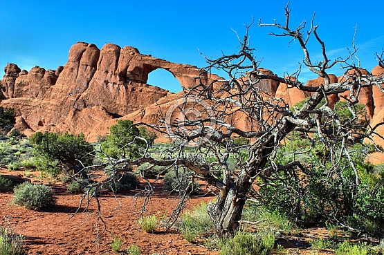 Skyline Arch