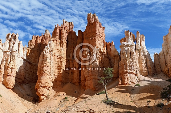 Towers Above Peekaboo Canyon