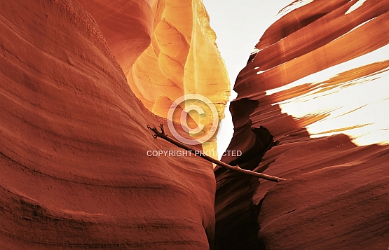 Limb on the Rim
