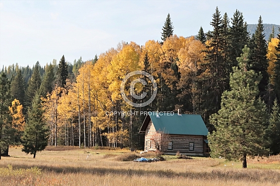 Cabin at Polebridge