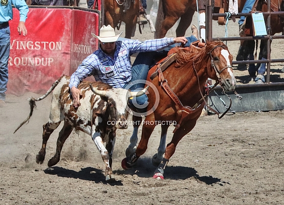 Sliding On Easy!