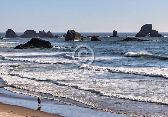 Seal Rock