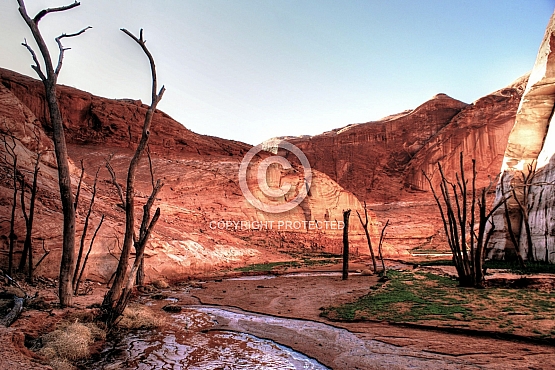 Forbidden Canyon Ancients
