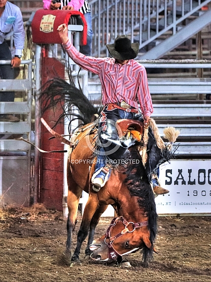 Marked Out!