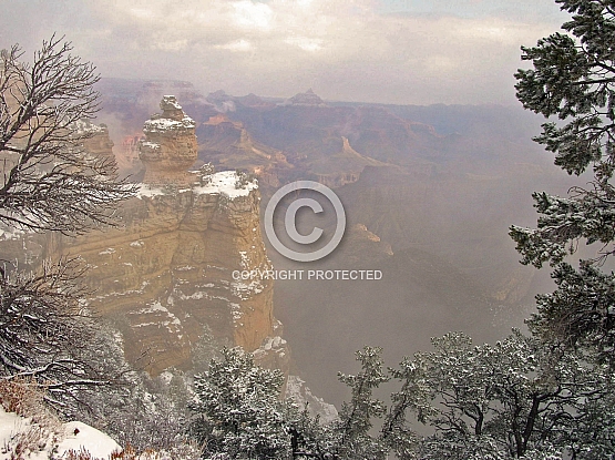 Grand Canyon Morn