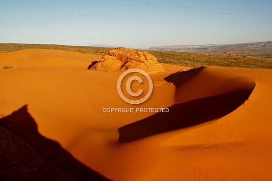 Dune's Shadow