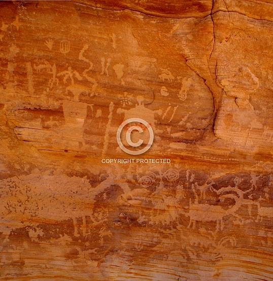 Kohta Circus Turtle Panel
