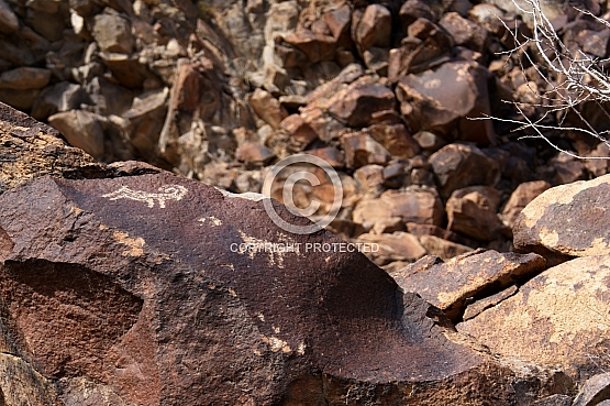 Bighorns in Patina