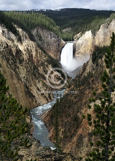 Lower Yellowstone Falls