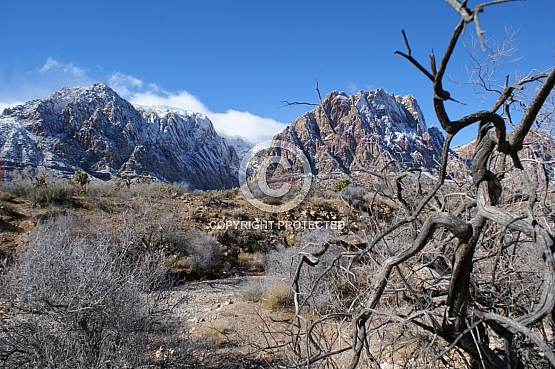 South Nevada Red Rocks