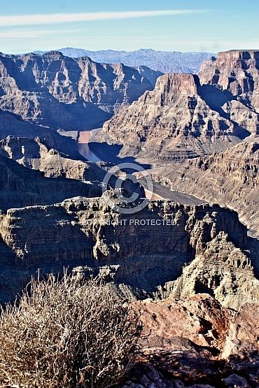 Sage on the Rim