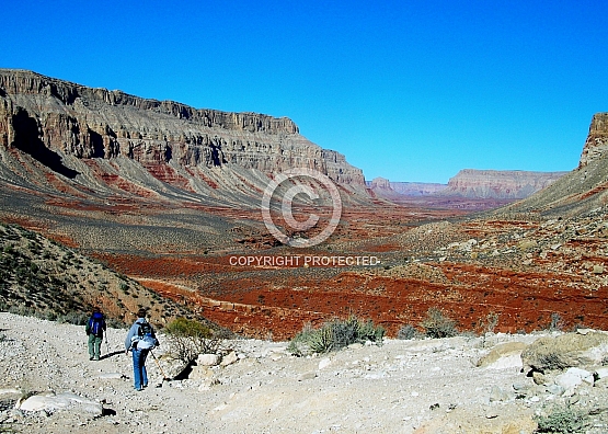 Havasupai Canyon Hikers