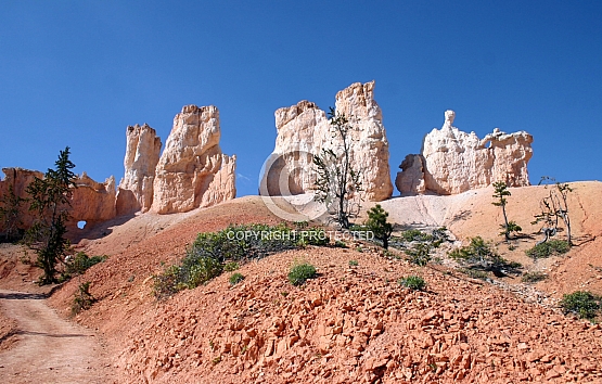 Hoodoos on the Navajo Trail