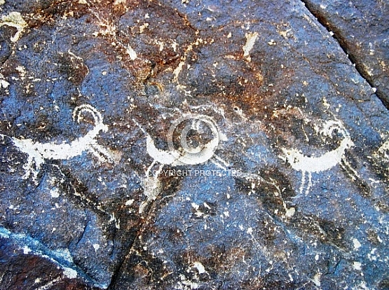Grapevine Canyon Anthromorphs