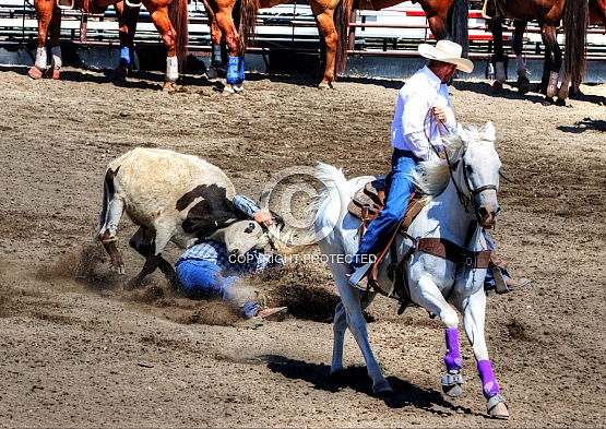 Bringing Down Ole Blue Eyes