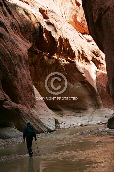 Lonesome Journey Down the Paria