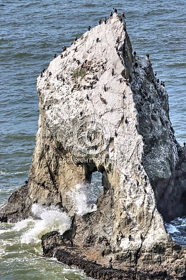 Pinnacle Rock Arch at Cape Blanco