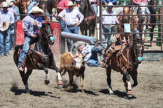 Stirrup Stretch