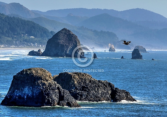 Bird Rocks and Haystack Rock