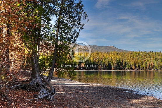 Apgar Beach