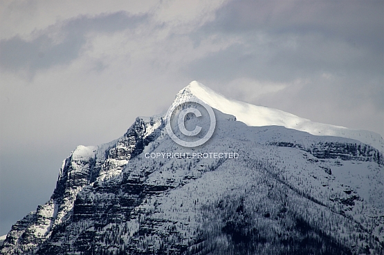Mount Brown