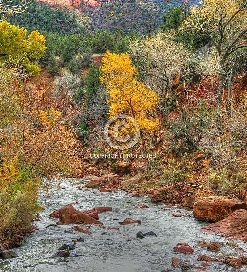 Virgin River of Zion HDR