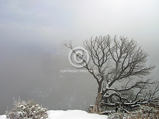 Morning Mist at Grand Canyon