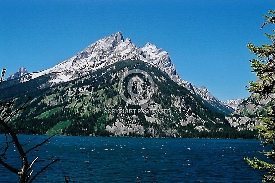 Teewinot Mountain from Jenny Lake