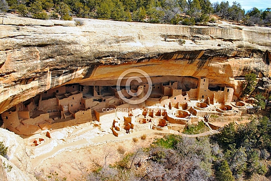 Cliff Palace Landscape