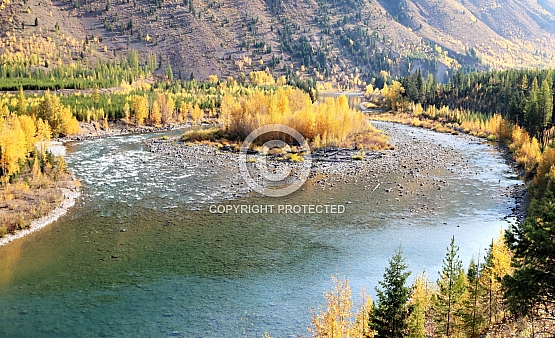 Golden Holm in the North Fork